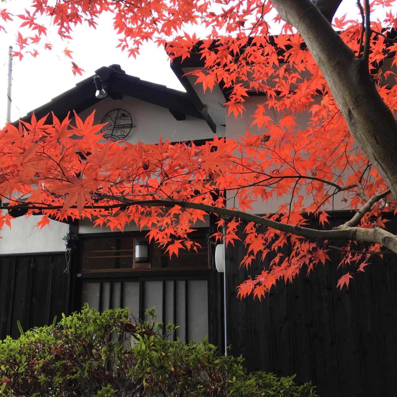 Bamboo Village Guest House Naoshima Ngoại thất bức ảnh